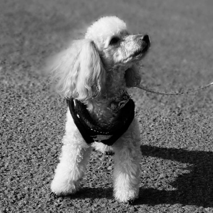 3e82471e 5e4e 46d3 a21a cd7ac8f19784