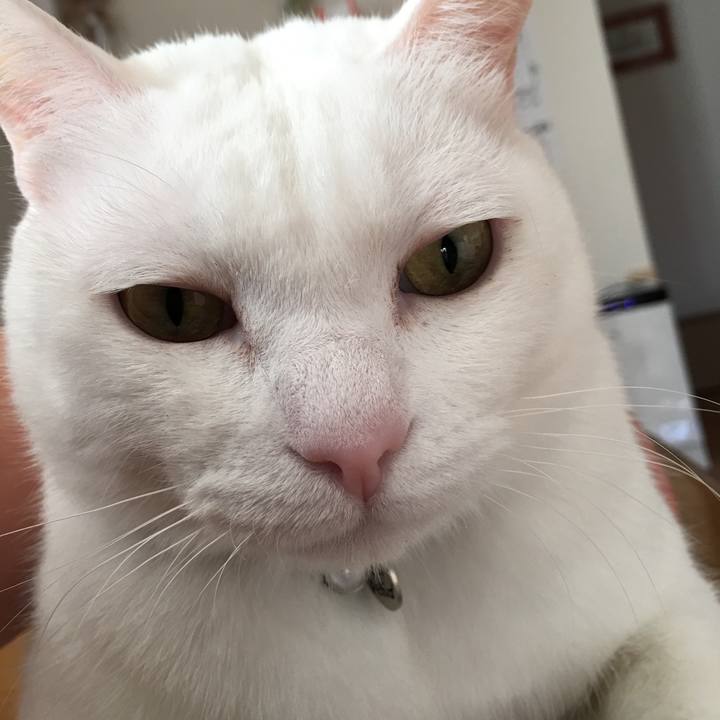 3e8259d9 223f 4655 8e81 53163b6d917d