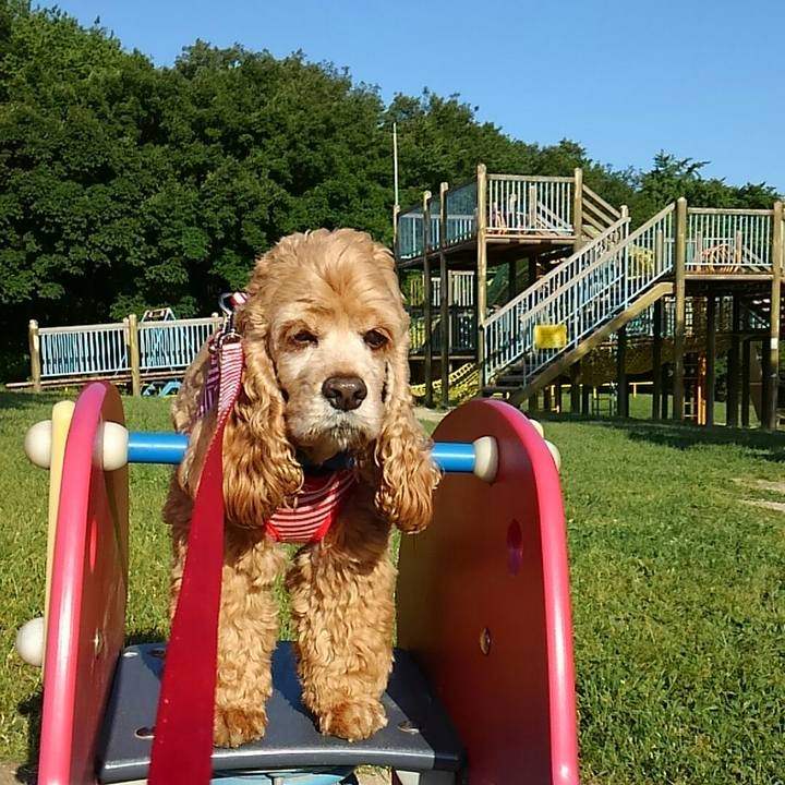 3e82eb3f 6ed9 4770 8c05 4652b499618c