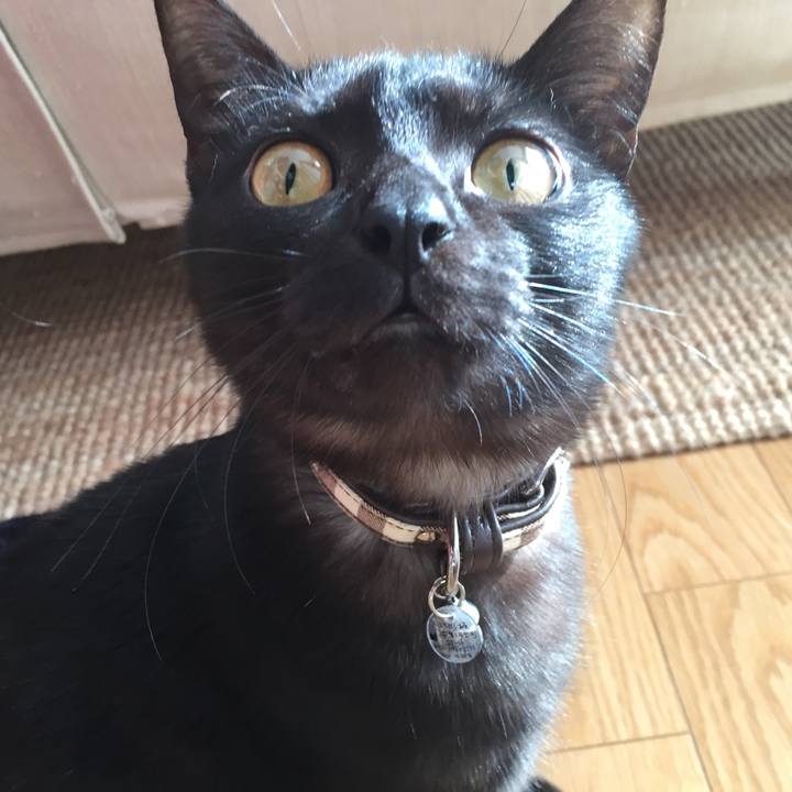 3e838add 3cc1 456a 83ee cd76fd9abe73