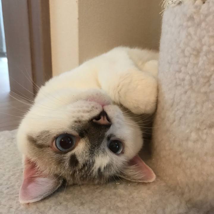 3e840abf 49dc 453e 82bf 1c8c9f978859