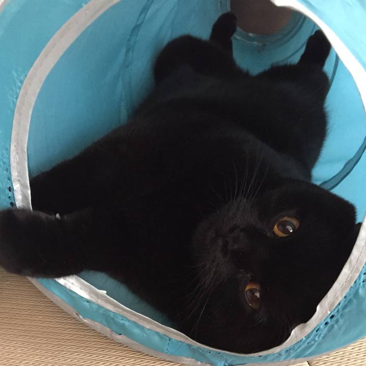 3e849fe8 2b09 4d58 8783 1d9e4f0a63f6