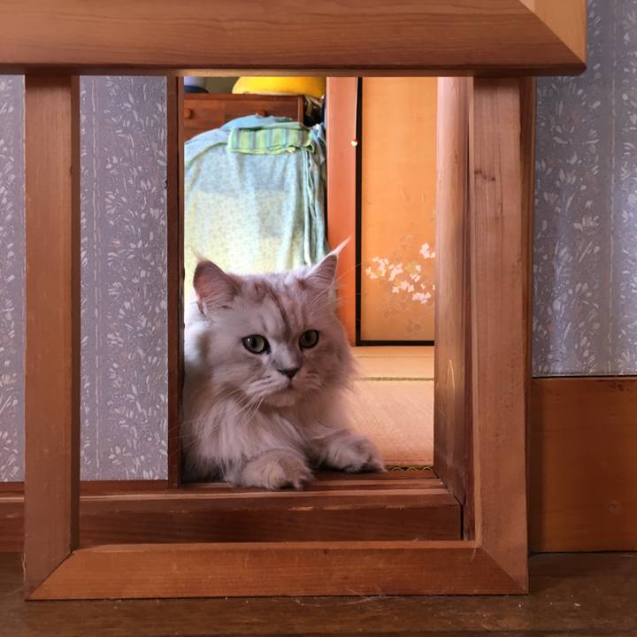 3e84d1f0 b92f 4a6a bf67 b968c278b9e6