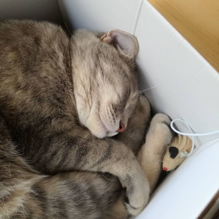 3e85ae97 e61e 4a52 a1c1 d63d703856b1