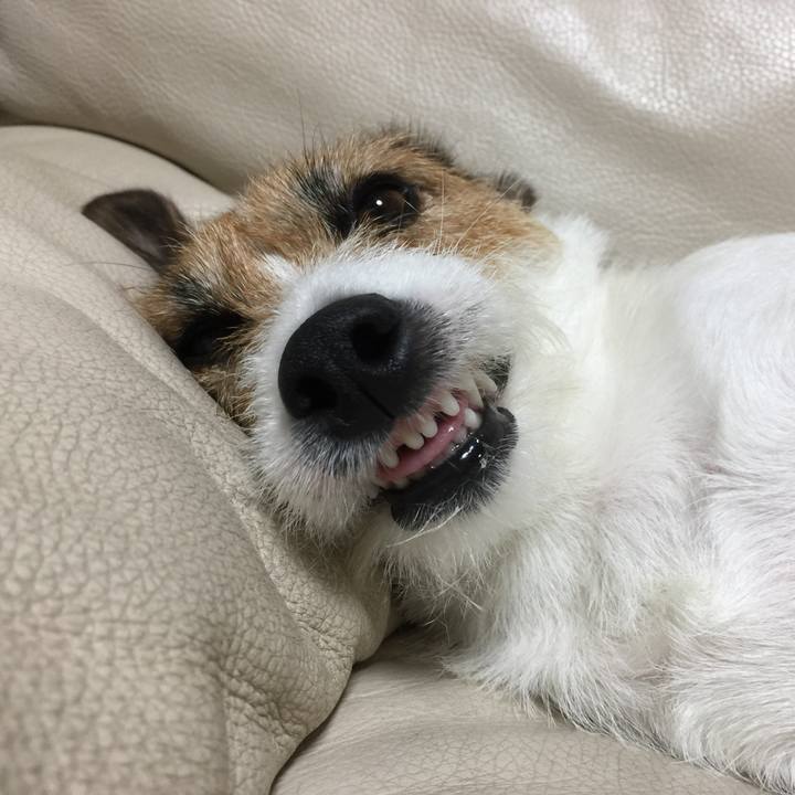 3e8639fe a1df 4702 8c30 03ba9ac31d70