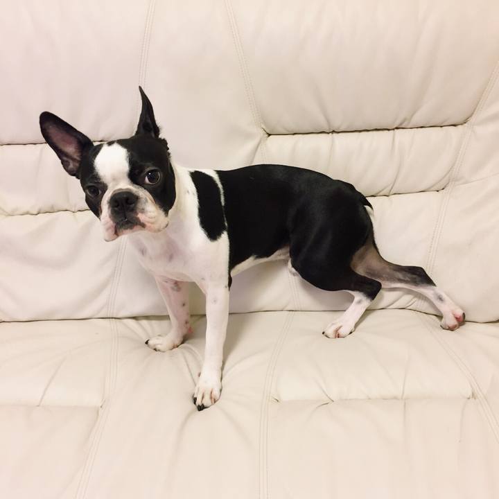 3e863e80 a2b0 44a6 93bf 3c2dd93d1a99