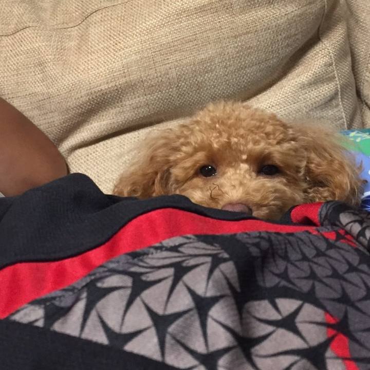 3e871713 0f9a 4733 b9a4 4c2d59c7b381