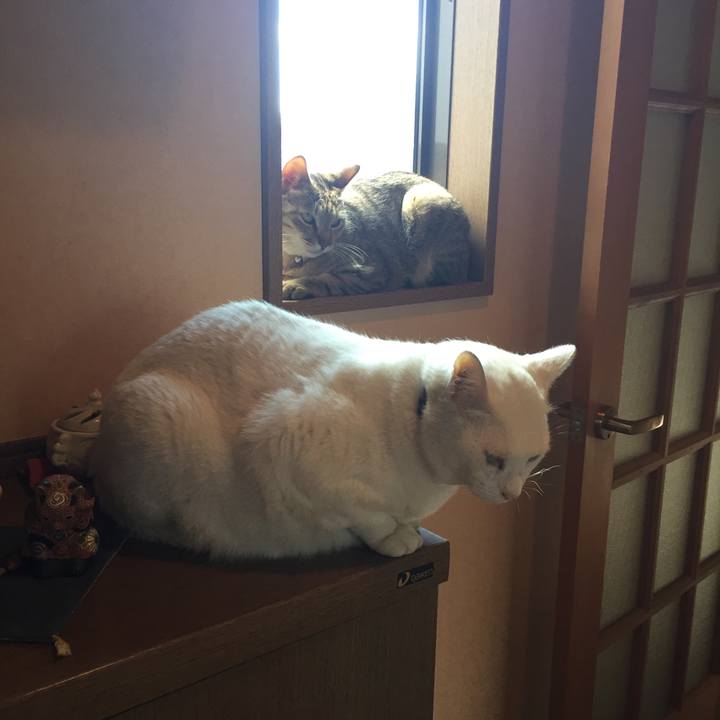 3e8743bc 6701 4759 9b5d f7d345f36c16