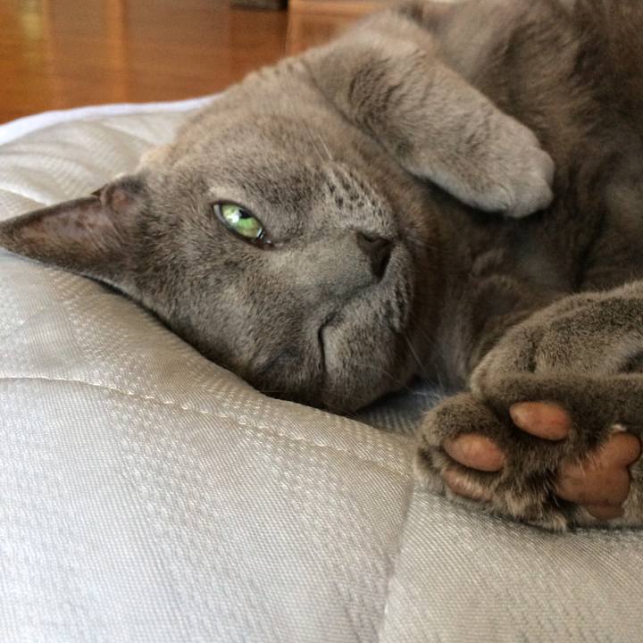 3e87f247 7ff9 4421 9a11 b909d5317a46