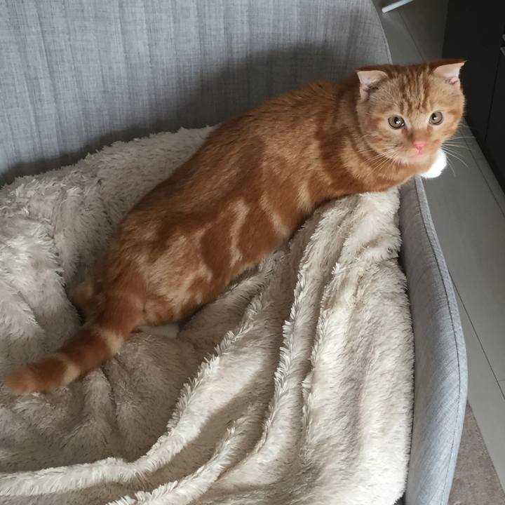 3e87fce0 ece7 46fe a150 8ec7ca5086d3