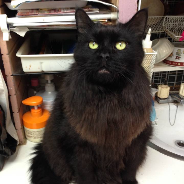 3e883a1d d41d 4285 948e ca5a1f9345dc