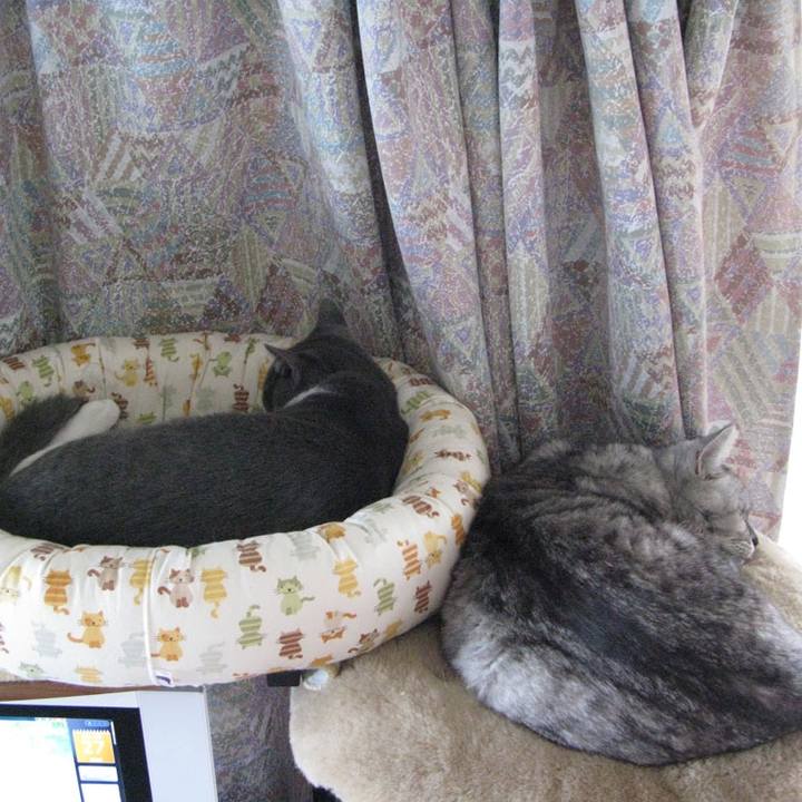 3e891040 75db 472e b4ee cbc2d85d4b32