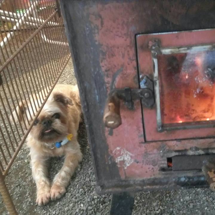 3e89328e 4d33 4a7c 86c7 84e19bae050e