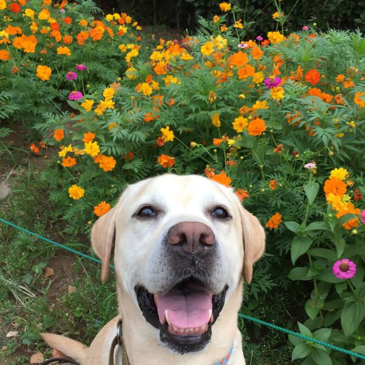 3e89527e 69d3 41b5 908d bb9f1362c9ee