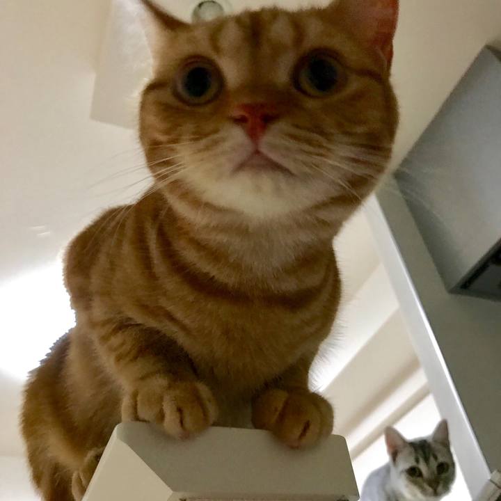 3e897413 0ba9 4e4e 8c70 7b895c7551fe