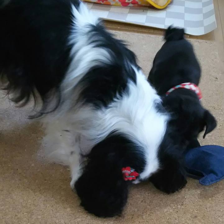 3e8a348d 6b80 4564 a4db df2bcaa4d6b8