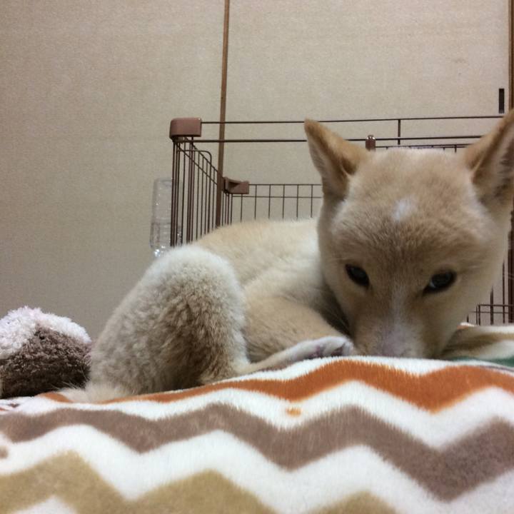 3e8a583f c590 42b1 86c2 eae7726c32b4