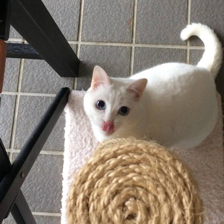 3e8ab34d b92e 4684 8c0b 61b276742b98