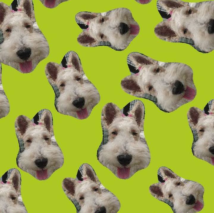 3e8b00b9 8cb2 4745 9c49 8eae71aca4e2