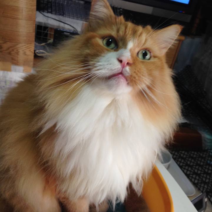 3e8b7277 afd3 4557 9d79 4bbde7a72251