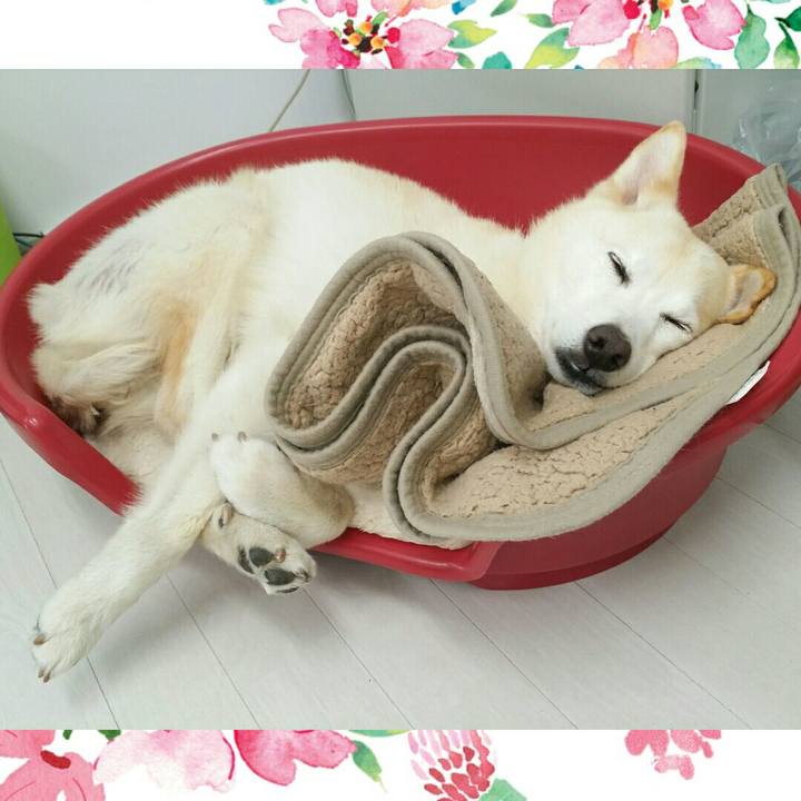 3e8b81a5 9063 4aff a515 55ceb14956cc