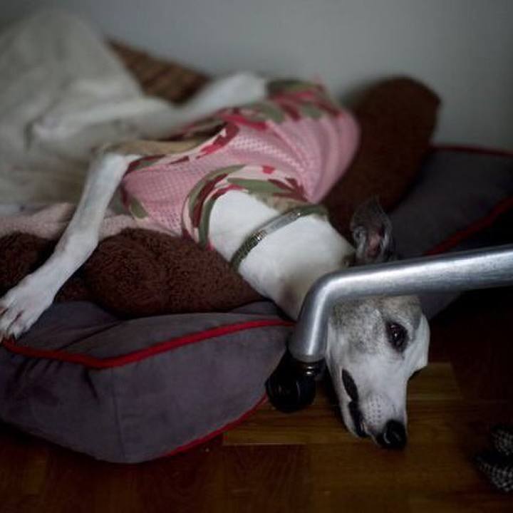 3e8bf651 f28c 47db 903d 1c19caa86483