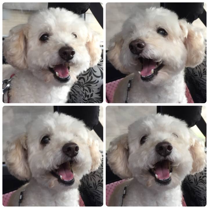 3e8c1e02 9249 4f10 b7a7 e51d7b89284f