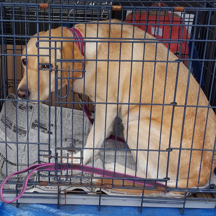 3e8cb92e a94e 42c6 9a63 70e3dd7648c3