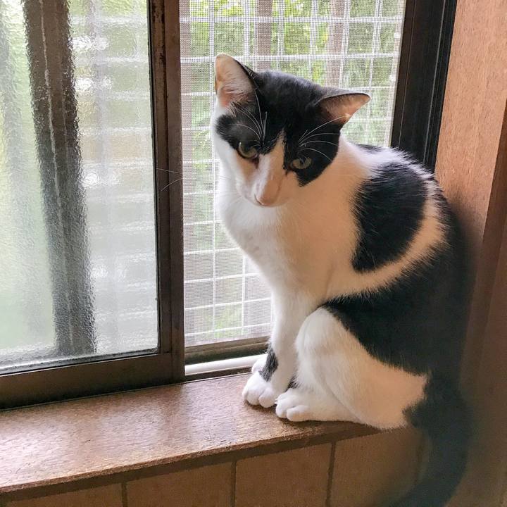 3e8cc214 e65b 43b4 abda 983f13cc3064