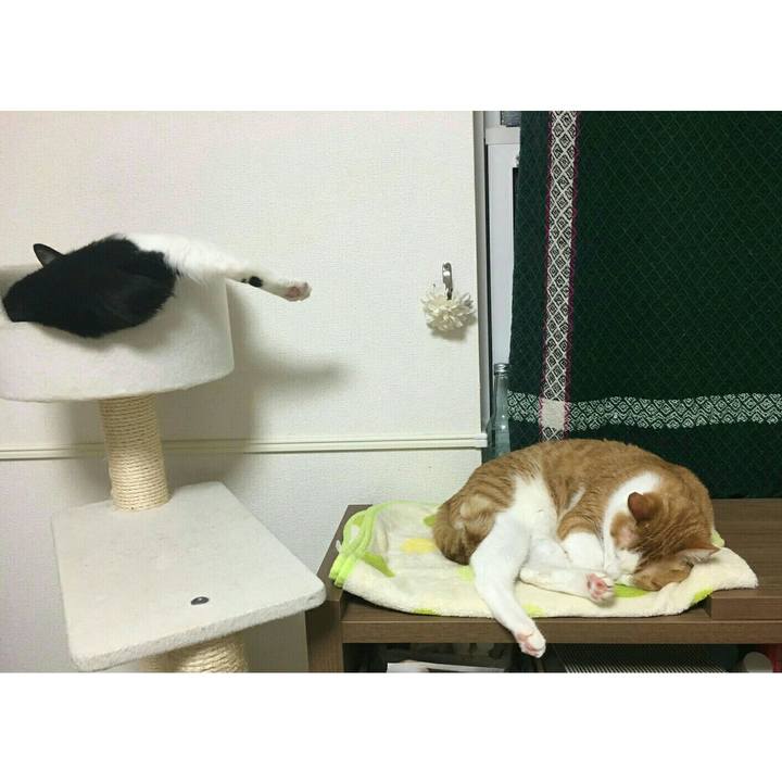 3e8ce723 e0cf 4a9d a279 1b84ad7eaefd