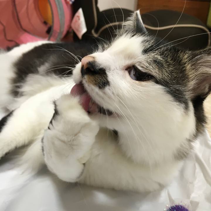 3e8d0542 e8b6 40ed b9fb b9cabc682f14