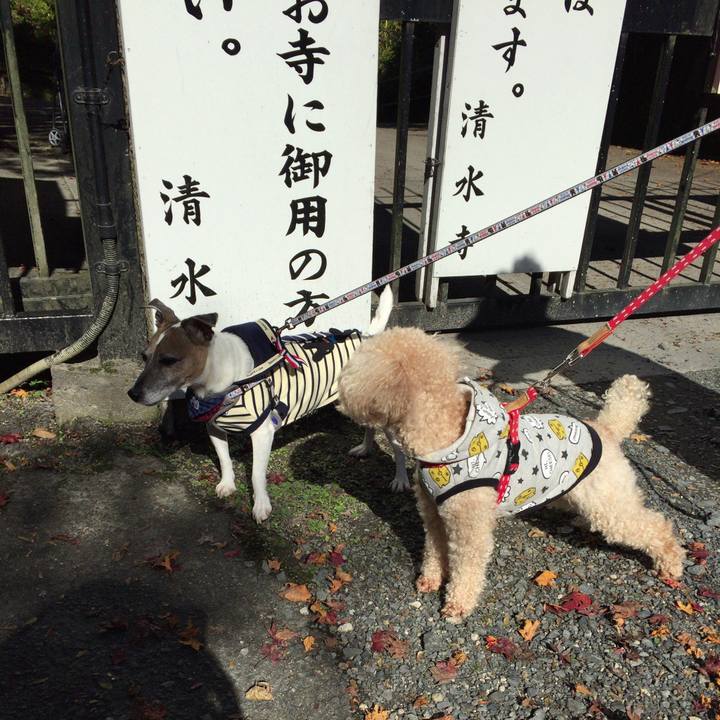 3e8d8cd8 d3ef 4c02 8e1f 72f5a1b8fa85