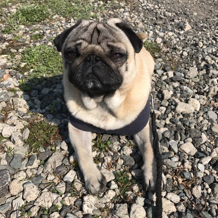 3e8df5e6 3b95 4fbb 90e7 3bffd544de9f