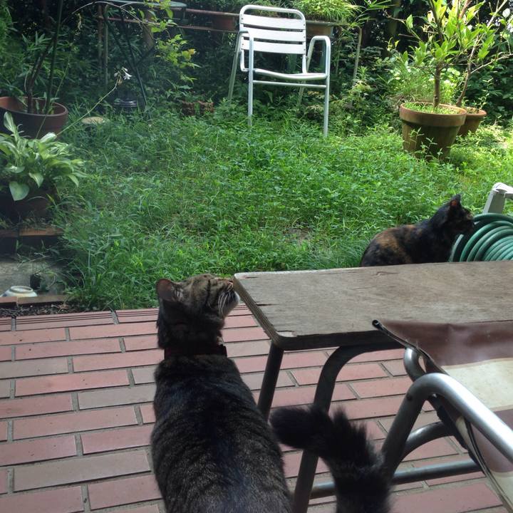 3e8e53c7 a807 4aaf a709 10a51b11ddbf