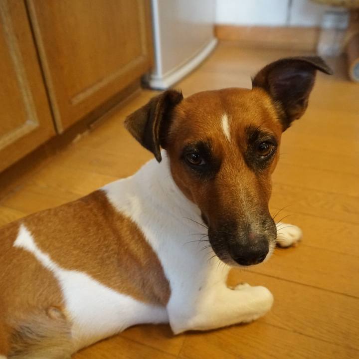 3e8e54c2 17ca 4c78 ad39 6182fc1bdd8e