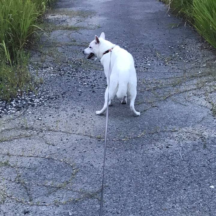 3e8eb81b 6866 4c1a 8fb6 05fa4805ea72