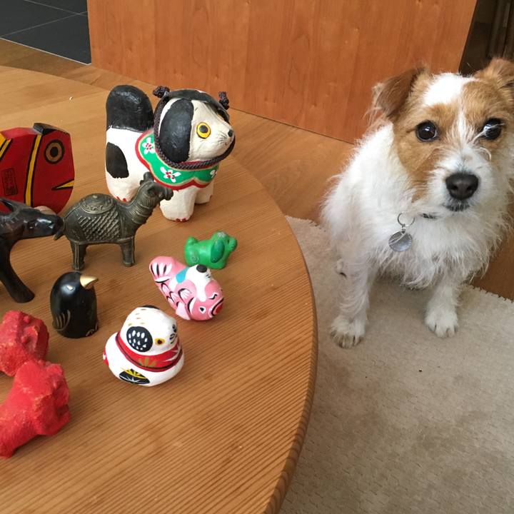 3e8eb9f8 244a 4d4c a017 6c74f21f63b1