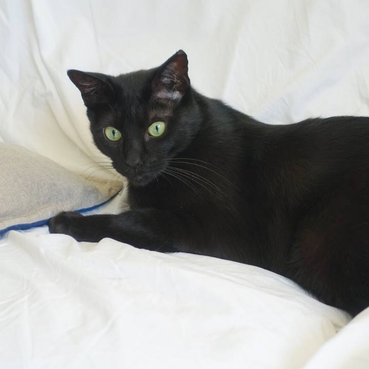 3e8ec369 0dc0 4507 a2e3 995d4e78f415