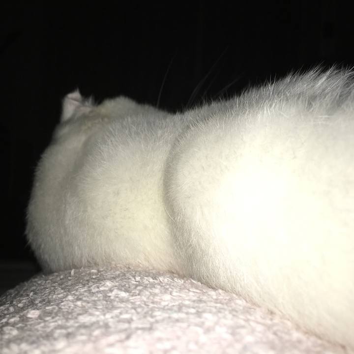 3e8eefd9 5f75 48ec 87fb 3c25ca9e2806