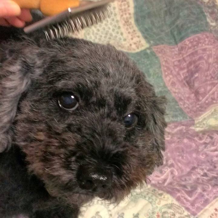 3e8f58a6 ba5a 4170 b3ab 0cf5dccb98bf