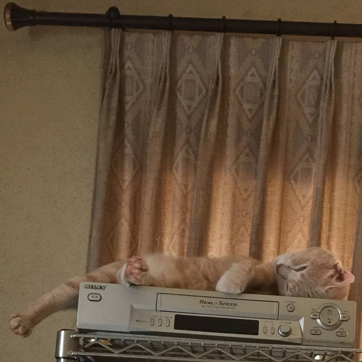 3e8fc4f9 50c6 4467 9252 756246ba8bcf