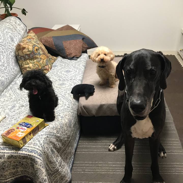 3e8fcd9e cb4b 49a3 a780 cb5ce1e72543