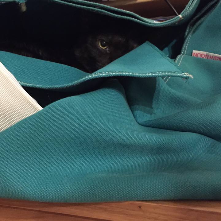 3e906e9a 9444 4eab a7ac 66d6b917282a