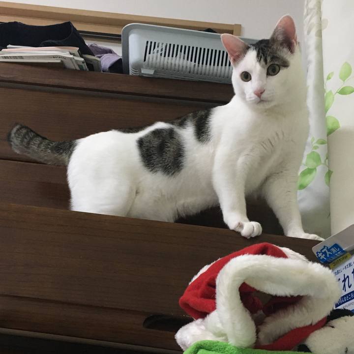 3e910b70 e1f8 4472 9de2 28e507ef3885