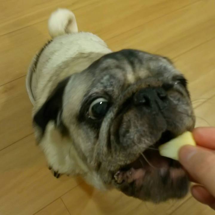 3e91b4bc 1a83 4e3d 8c37 d83707520aec