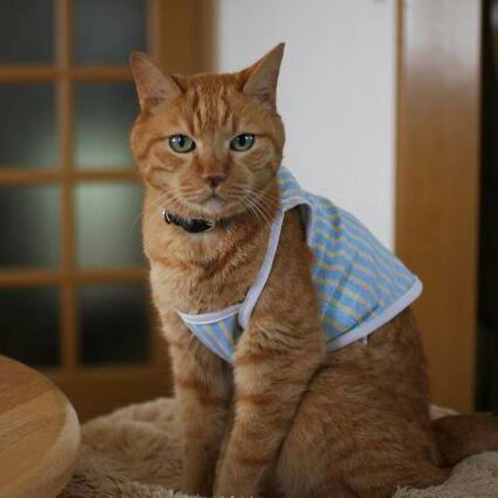 3e920601 bc4c 4206 8e70 ff2be0778f79