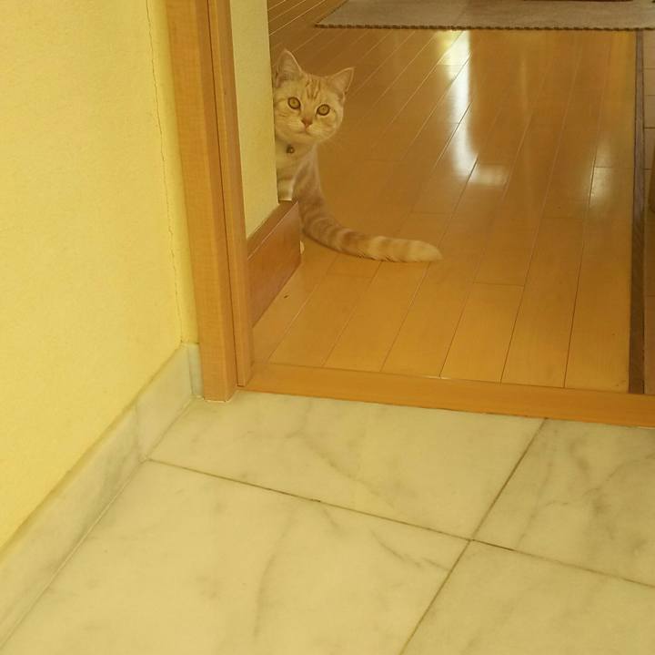 3e92acce 503e 4ae8 8047 420d3e185c4f