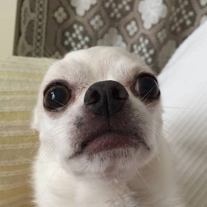 3e92cef3 943b 47fa b59e c95fffd2557d