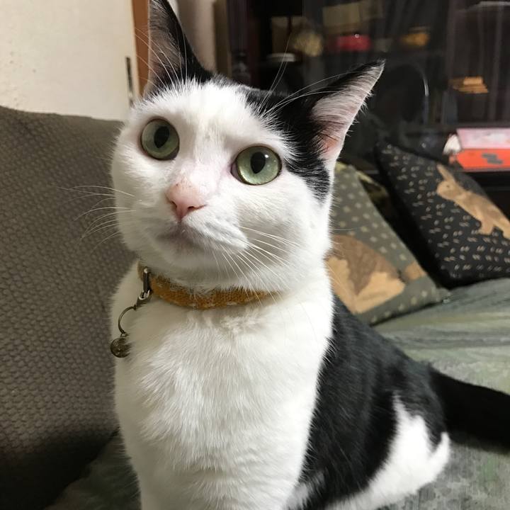 3e93141f a2c9 4239 949f 4603e8c2791f