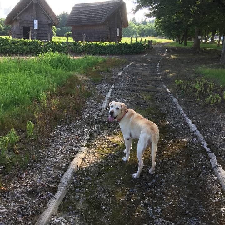 3e932620 a2c1 41b7 a0c4 94e0b1bf6453